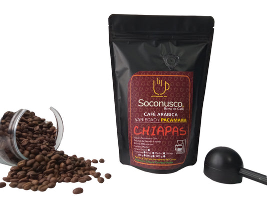 Chiapas Variedad Pacamara / Café Arábica